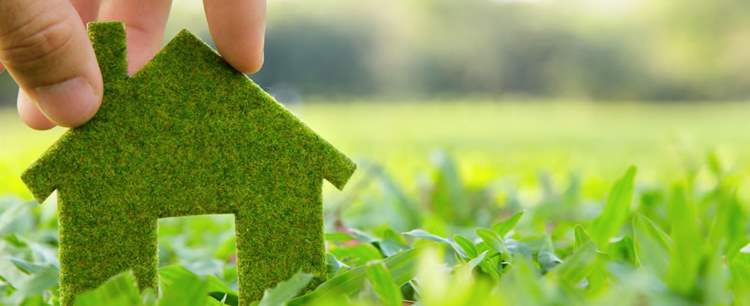 House model made from grass